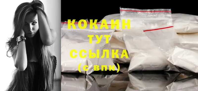 Cocaine Боливия  купить  сайты  blacksprut ONION  Камышин 