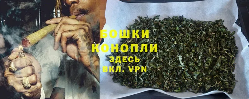 Бошки марихуана SATIVA & INDICA  купить закладку  Камышин 